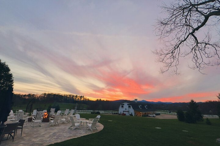 Terrace/Patio 31 of 65