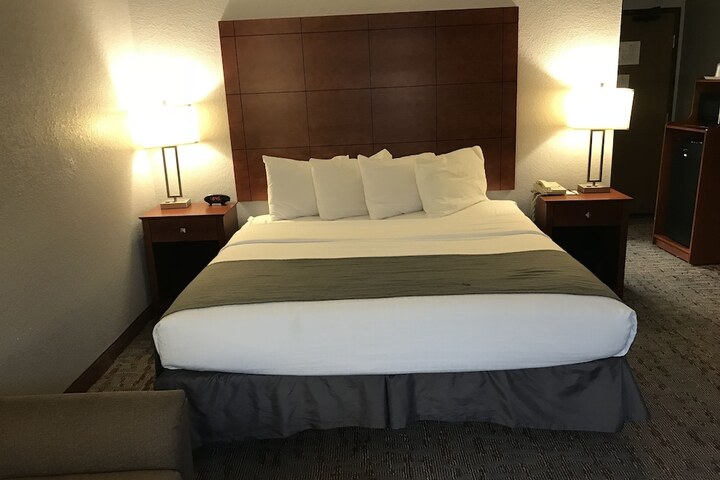 Deluxe Suite King Bed (4 of 30)