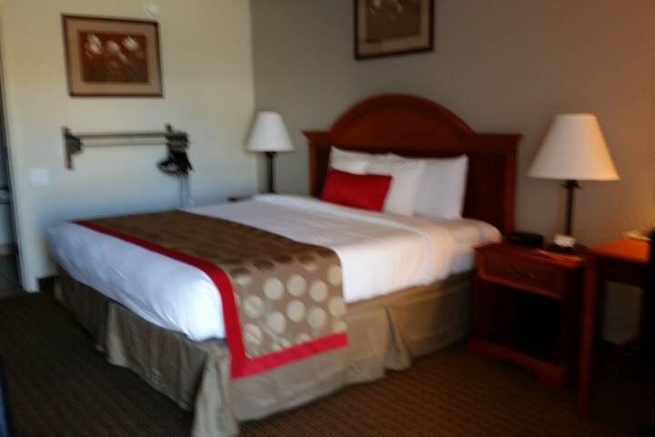 Room 4 of 52