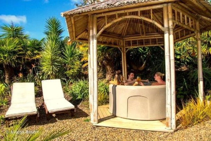 Wellness Treatments
