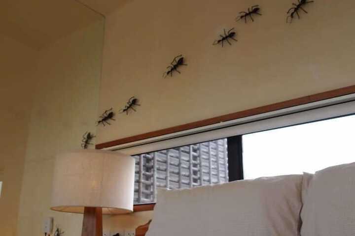 Room 19 of 67