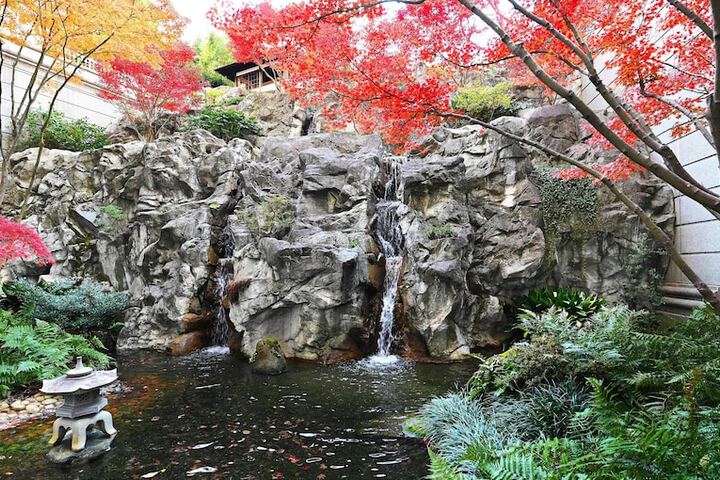 Japanese garden