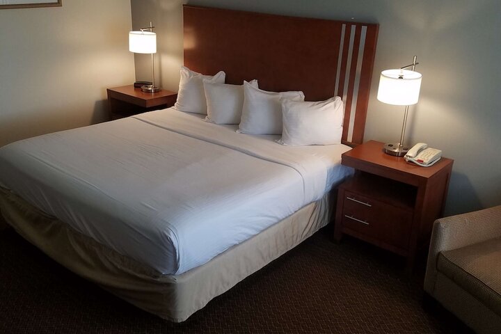 1 King Bed Flat Screen Television Microwave and Refrigerator High Speed Internet Accessible Continental Breakfast (17 of 20)