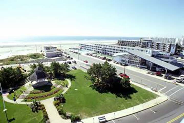 City View