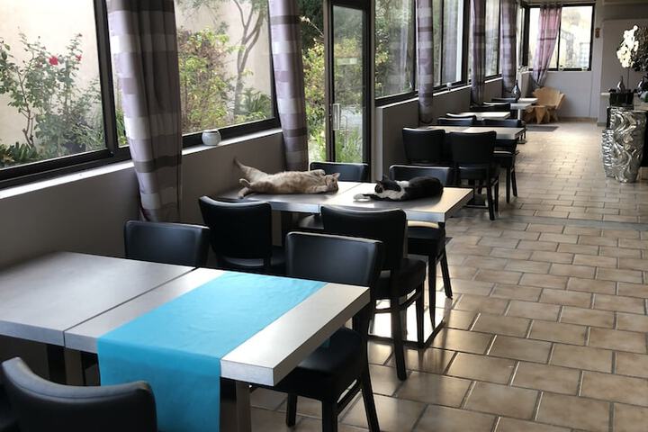 Terrace/Patio 60 of 67