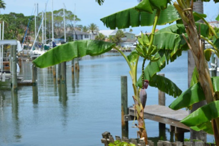 Hotel Exterior 24 of 576