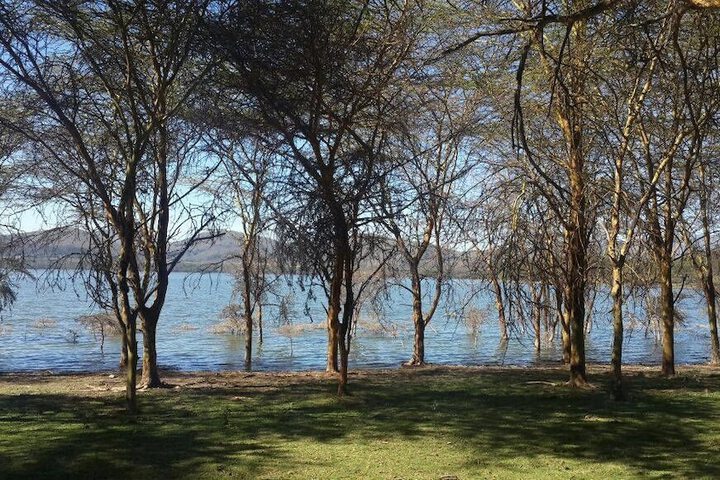 Property Grounds 40 of 52