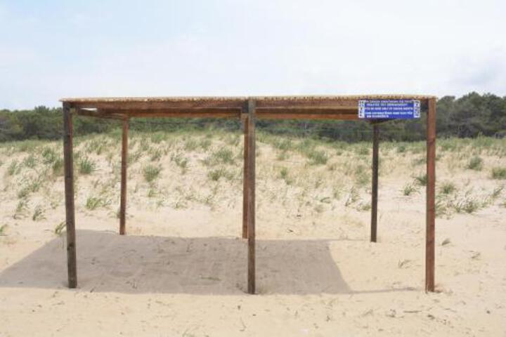 General 15 of 23