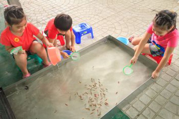 Childrens Activities 13 of 60