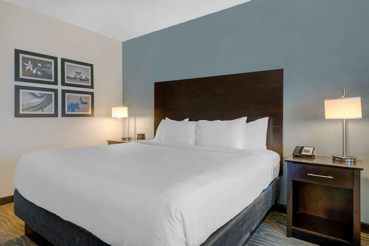 1 King Bed (2 of 19)