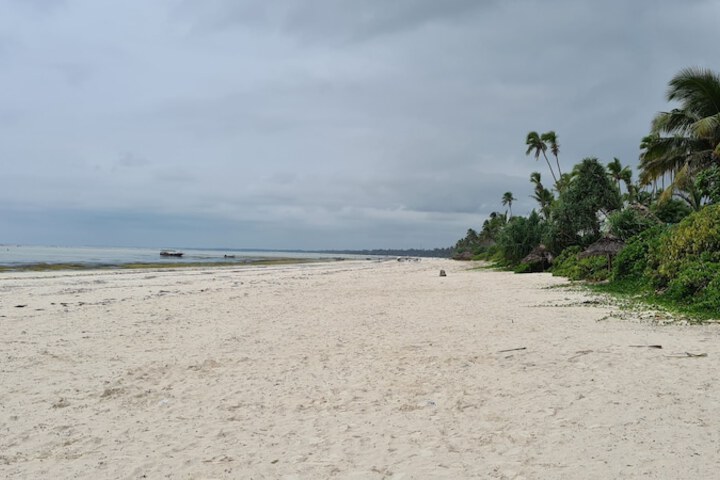 Beach 77 of 96