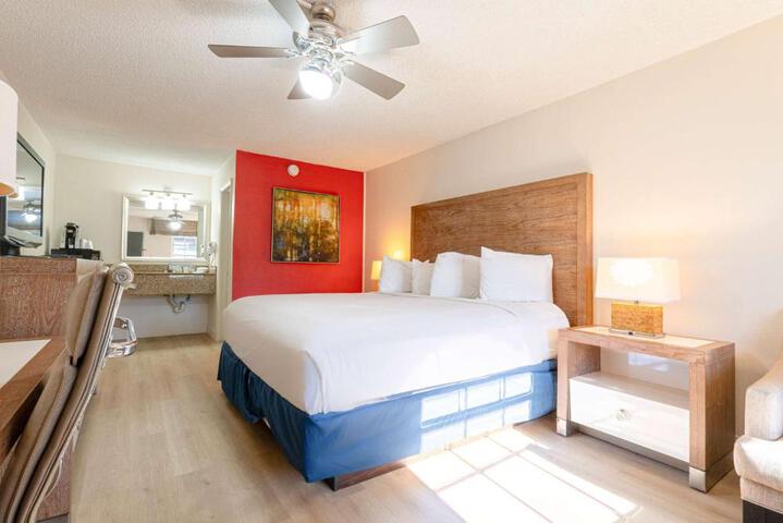 1 King Bed