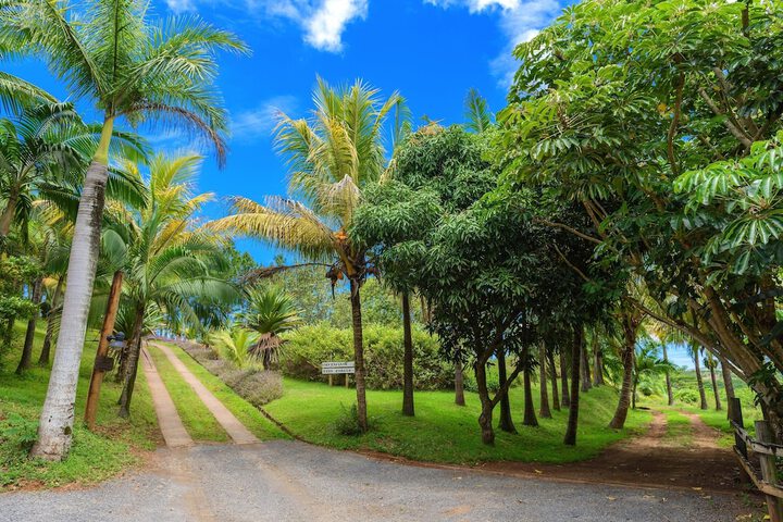 Property Grounds 52 of 60