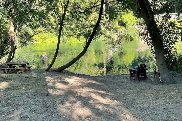 Property Grounds 50 of 63