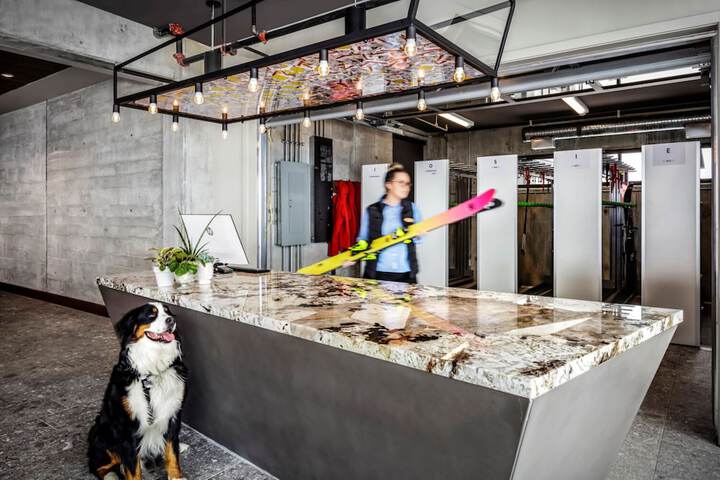 Pet Friendly 55 of 81