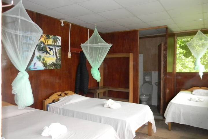 Room 6 of 127