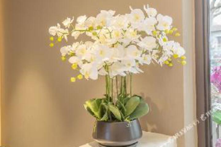 Yongxing Boutique Hotel