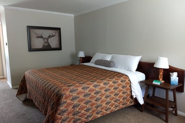 Luxury Room 1 King Bed Room 14 (4 of 21)