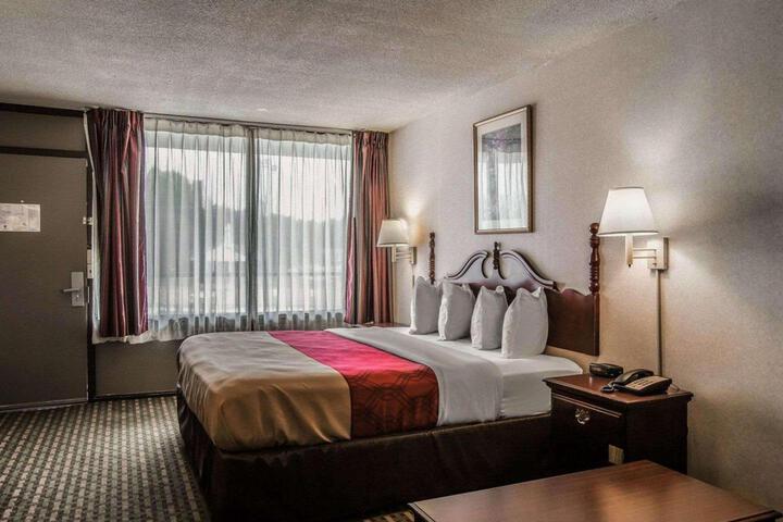 1 King Bed (8 of 11)