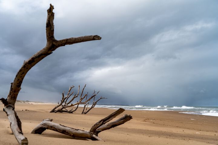Beach 47 of 47