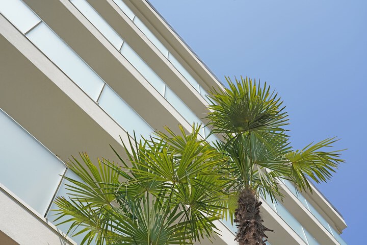 Hotel 61 of 68