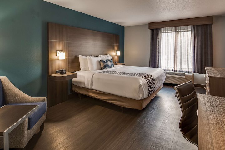 1 King Bed Pet Friendly Bathtub Accessible (8 of 22)