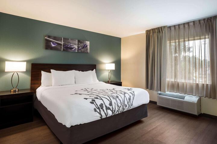 1 King Bed (3 of 18)