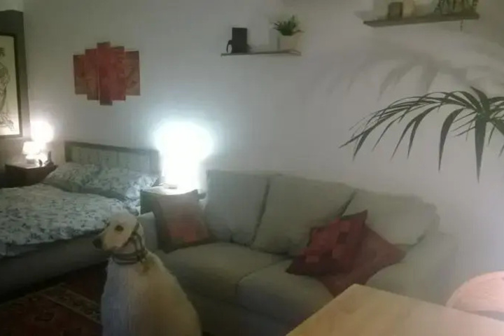 Room 3 of 8