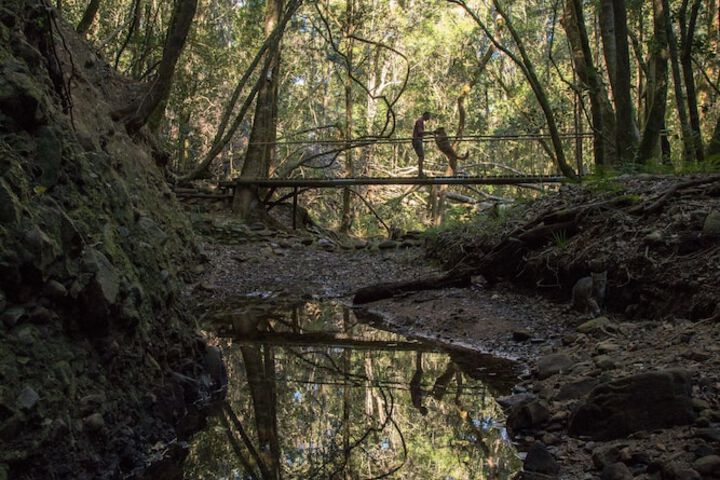 Hiking