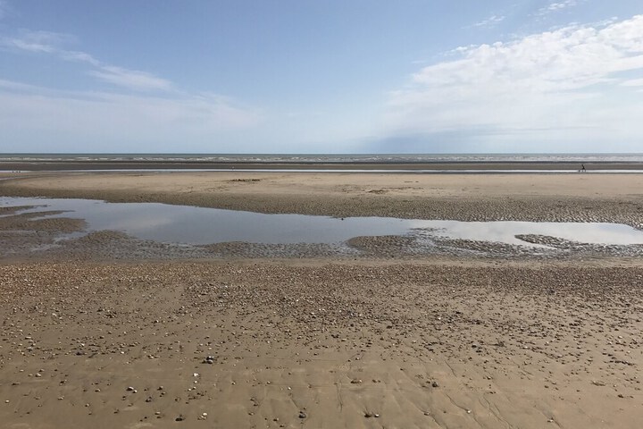 Beach 89 of 101
