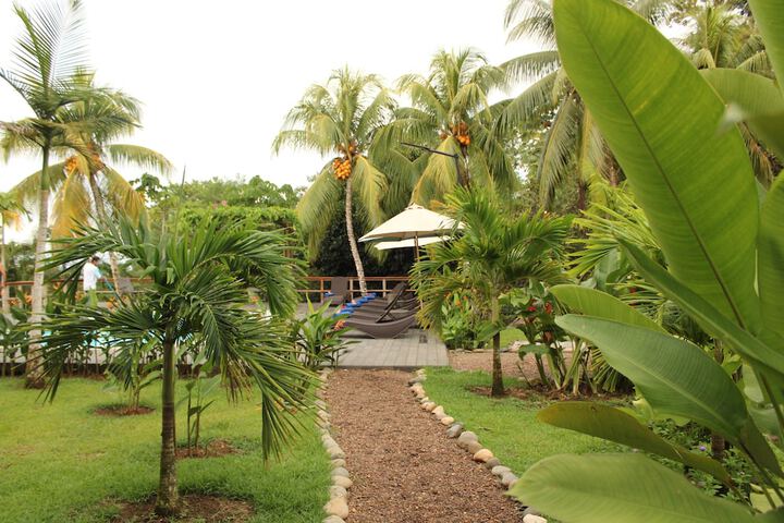 Terrace/Patio 43 of 77