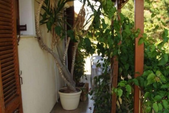 Terrace/Patio 10 of 24