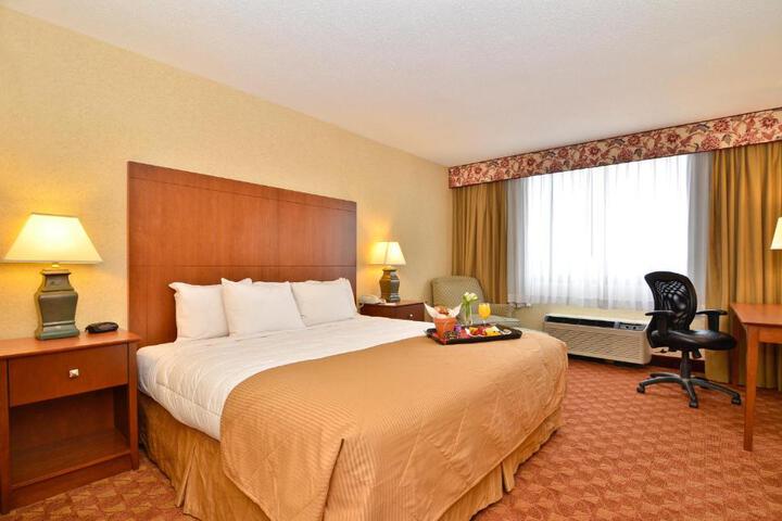 1 King Bed Pet Friendly (1 of 9)