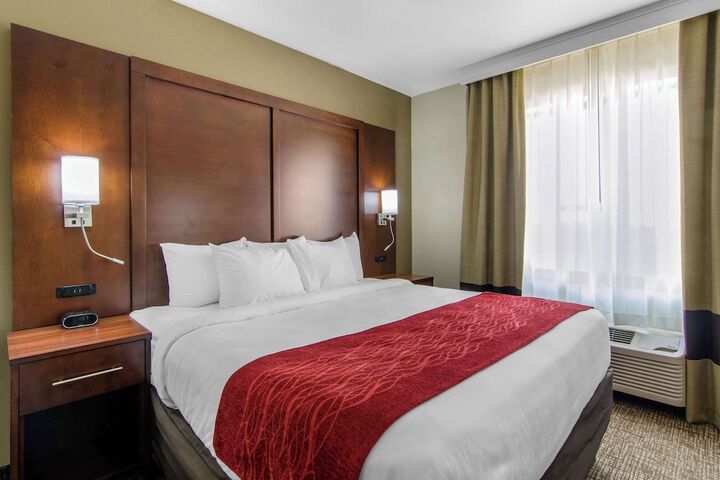 1 King Bed (6 of 12)