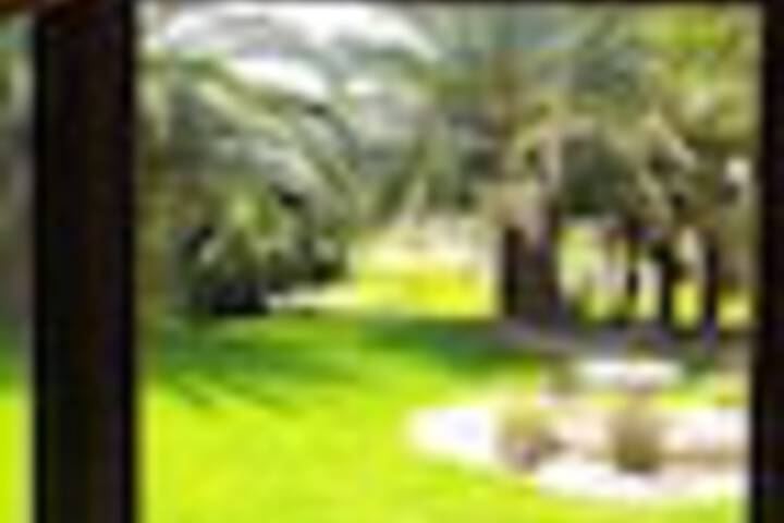 Property Grounds 149 of 171