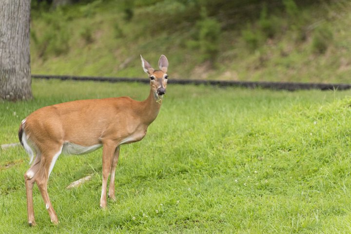 Hotel View 107 of 108
