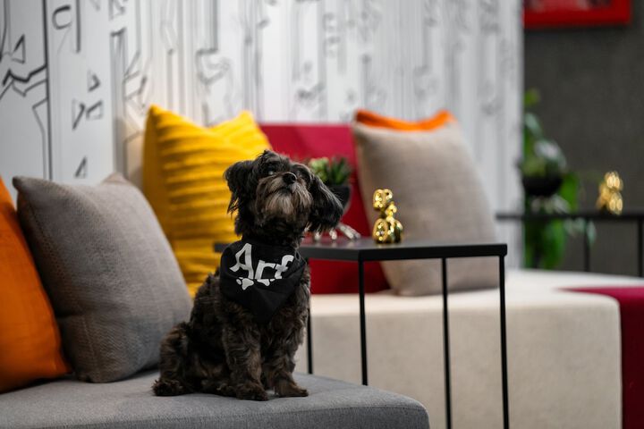 Pet Friendly 23 of 30