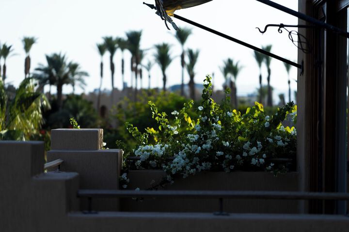 Terrace/Patio 79 of 115