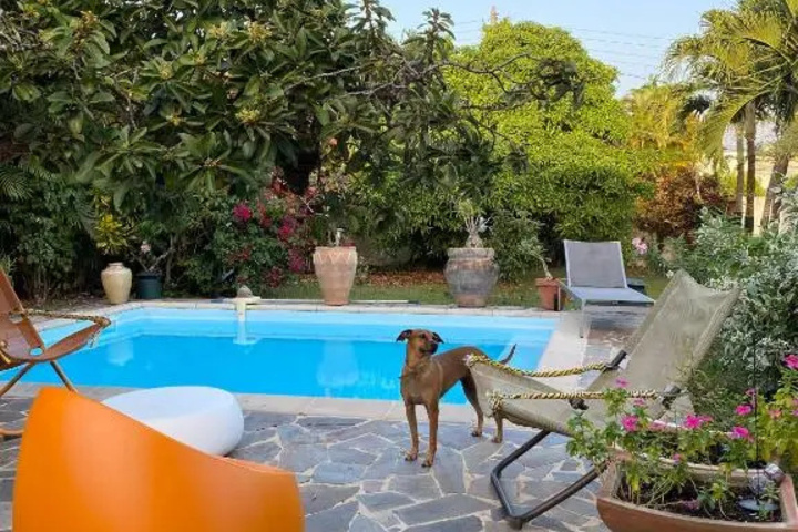 Pool 6 of 11