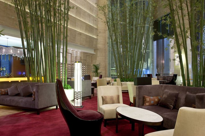 Lounge 29 of 33