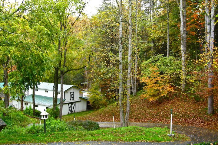 Property Grounds 41 of 55