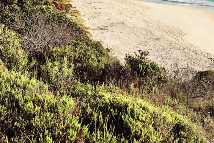 Beach 71 of 78