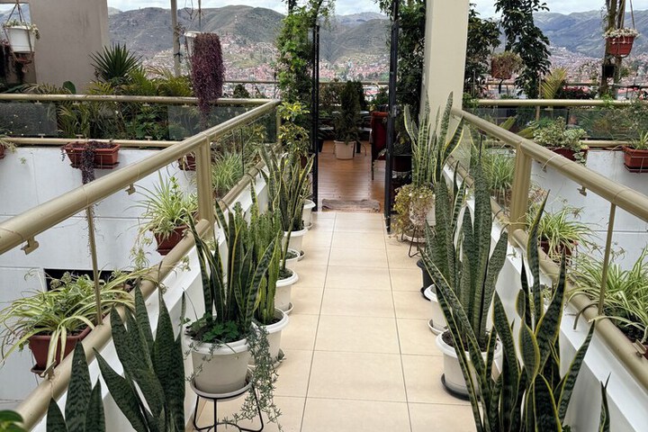 Terrace/Patio 61 of 98