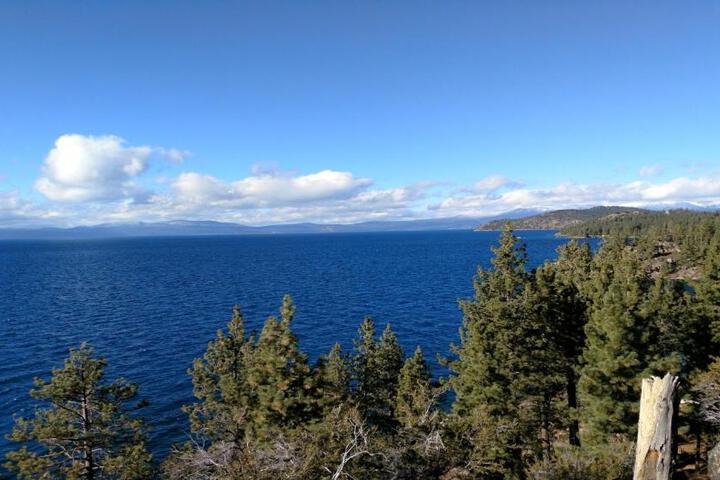 Photo 42
