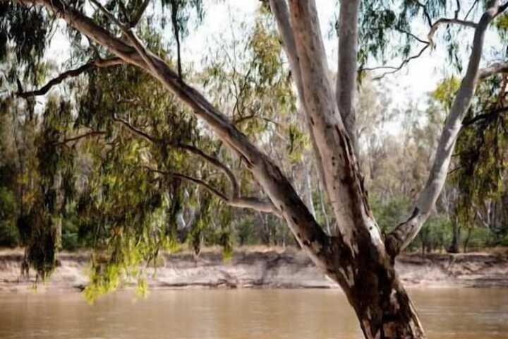 Property Grounds 12 of 15