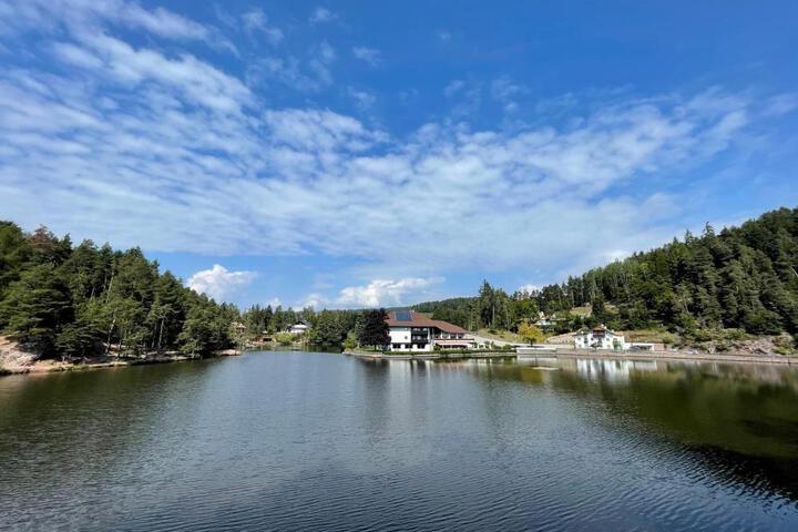 Hotel Am Wolfgrubenersee