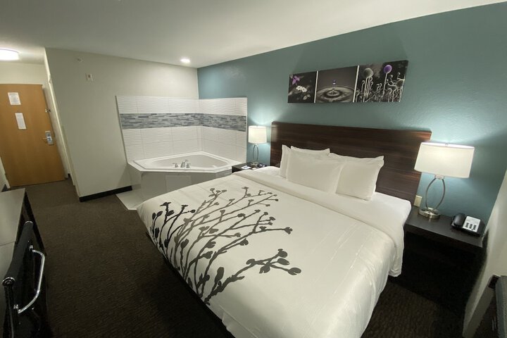 1 King Bed Accessible (4 of 15)