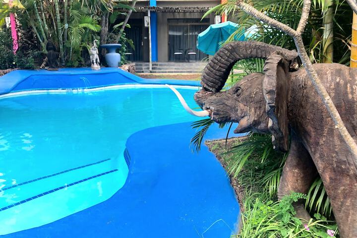 Pool 198 of 241