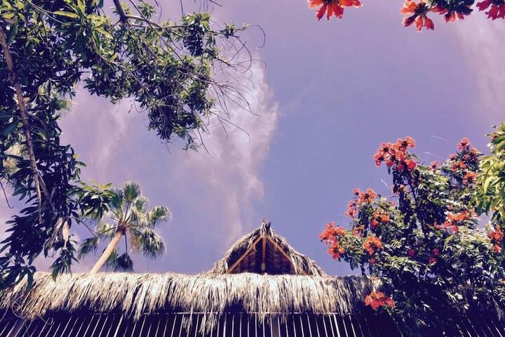 Hotel Posada Señor Mañana in San José del Cabo