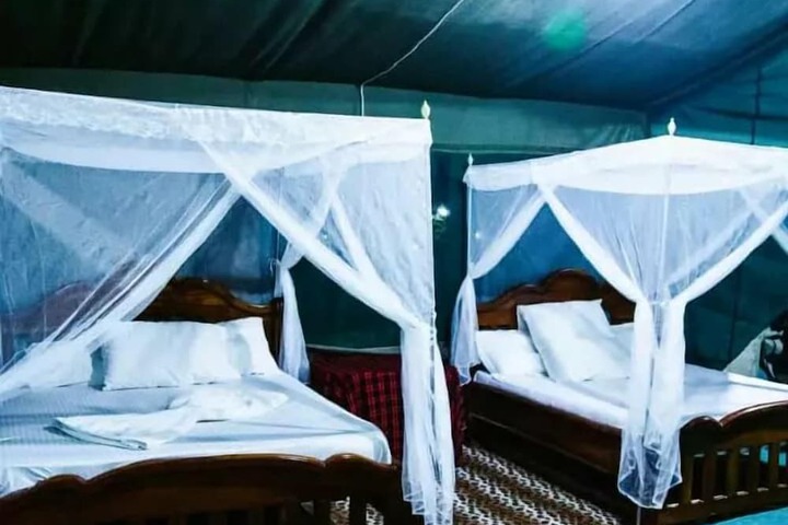 Mikumi Nalika Camp in Morogoro